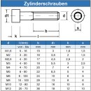 M4 x 40 mm Zylinderschrauben mit Innensechsrund (TX) ISO 14579 Edelstahl A2