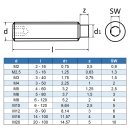 Gewindestifte M5 X 5 mit Innensechskant u. Zapfen DIN 915 Edelstahl A2