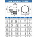 Hutmuttern M6 hohe Form DIN 1587 Edelstahl A2