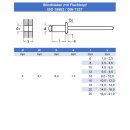 Blindniet 4,0 X 6 mm mit Flachkopf DIN 7337 Edelstahl A2