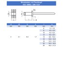 Blindniet 4,8 X 8 mm mit Flachkopf DIN 7337 Edelstahl A2