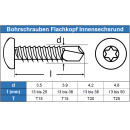 Bohrschrauben mit Linsenkopf 3,9X22 TX15 Form M, Innensechsrund DIN 7504 Edelstahl A2