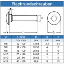 Schlossschrauben M10 X 45/45 DIN 603 Edelstahl A2