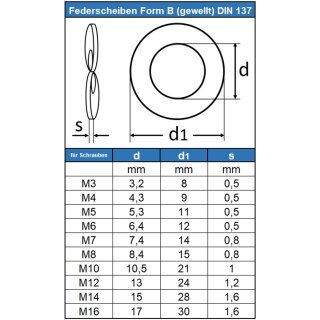 rostfrei Form B 3 1.4310 Federscheiben Federscheibe DIN 137 Edelstahl B 30 
